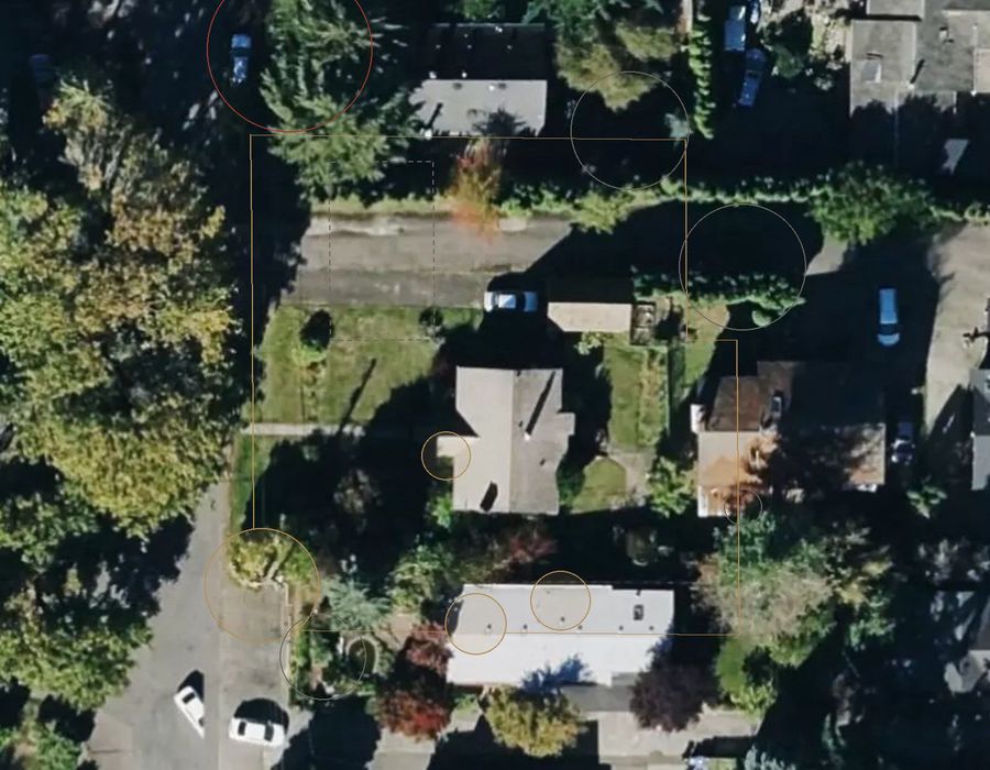 Licton Springs — 9 crowns — arborist likely