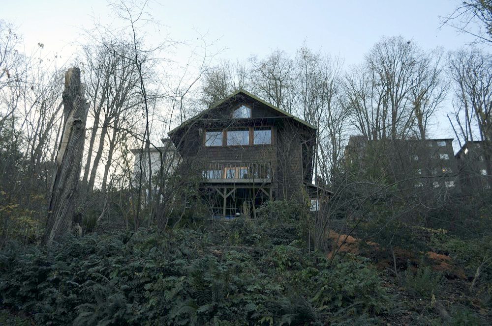 A house tucked into the remnant of the Ravenna Woods in Seattle, surrounded by tall evergreen trees.